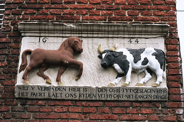 Old stone in Leiden