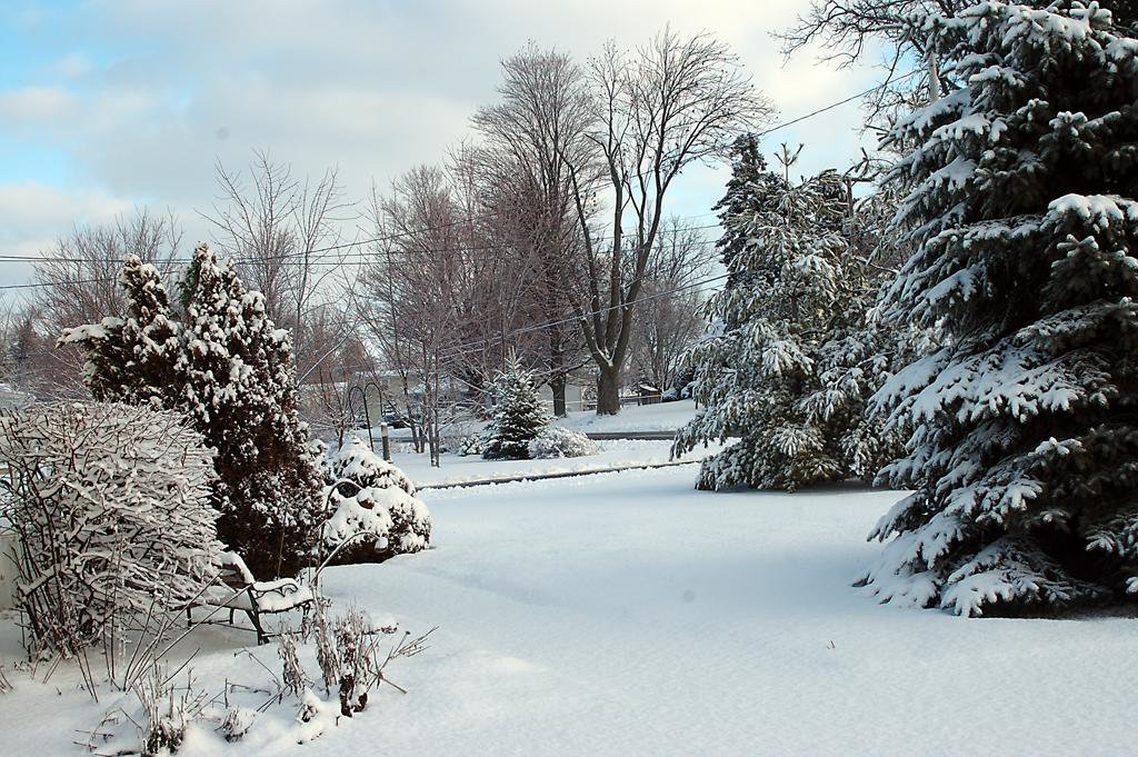 Winter in Mulliken