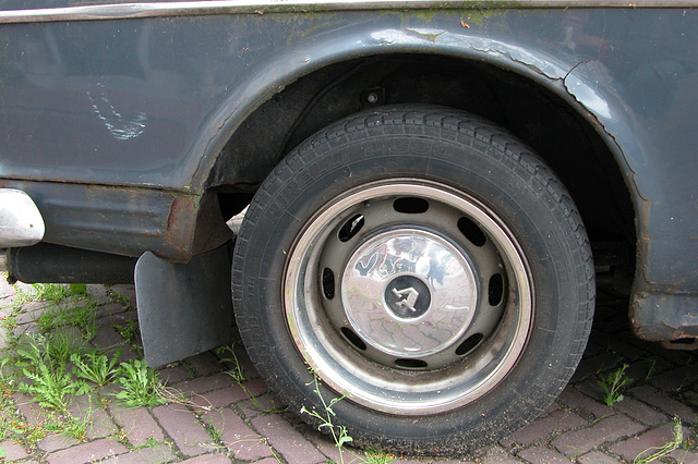 1965 Volvo 121 in my neighbourhood: happily rusting away