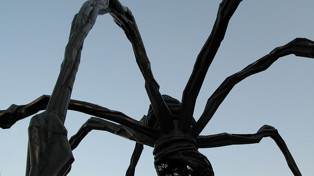 Spider Louise Bourgeois