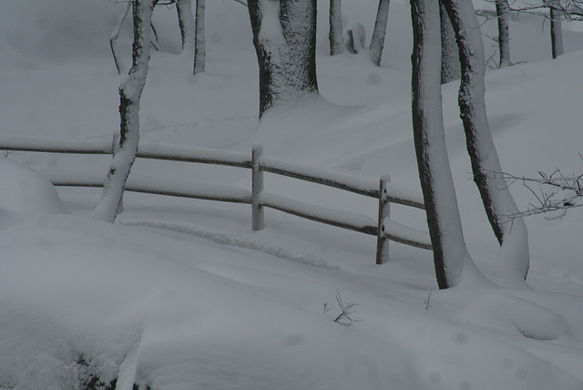 Snowy Pathway