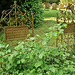 st.mary's church , slaugham, sussex