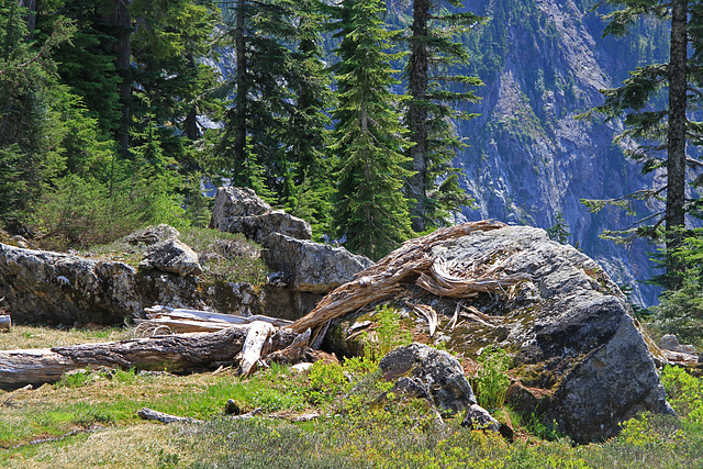 Along the Trail