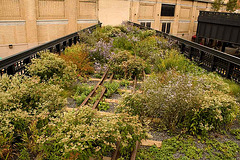 The High Line: dead end