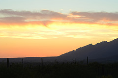 Tucson Sunset