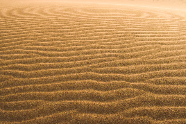 Saharan Sand Ripples
