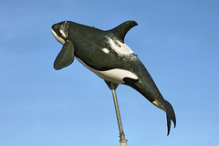The Flying Orca Statue – Steveston, British Columbia