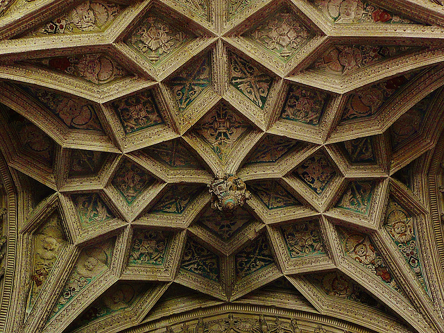 ely cathedral, net vault