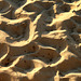 Sand, Brighton Beach, Melbourne
