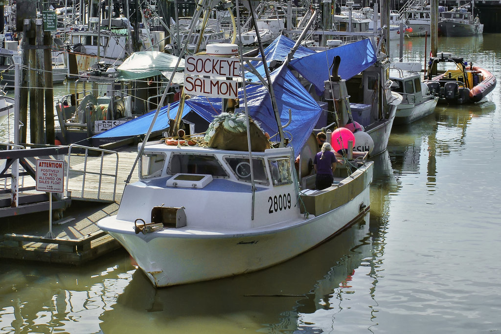 The Fishing Fleet – Steveston, British Columbia