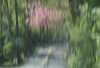 Impressionist Road