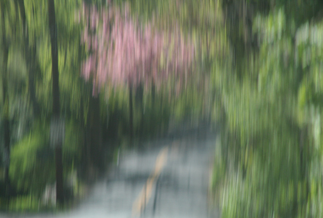 Impressionist Road