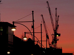 Cranes in the sunset
