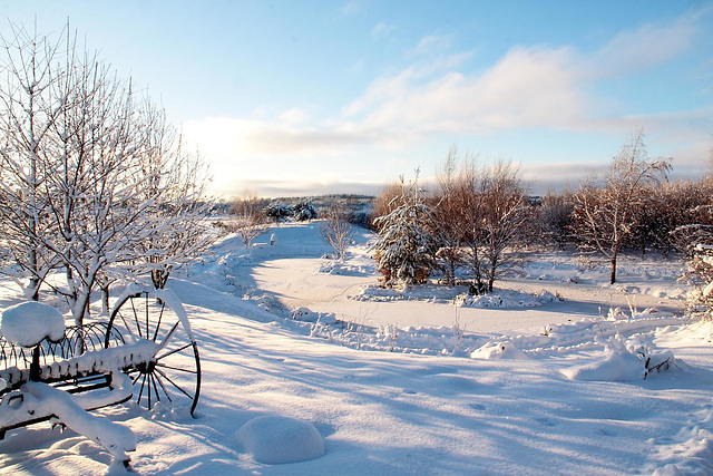 Sunny days are here again...but snow remains!