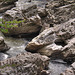 The River Findhorn at Relugas