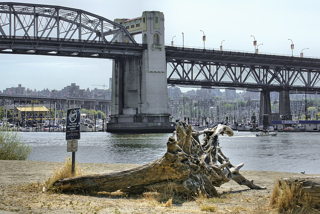 Driftwood – Sunset Beach, Vancouver, British Columbia