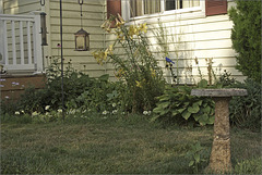 The Window Garden