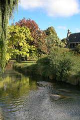 English like scene, Christchurch