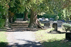 Cemetery on the Banks Peninsula.