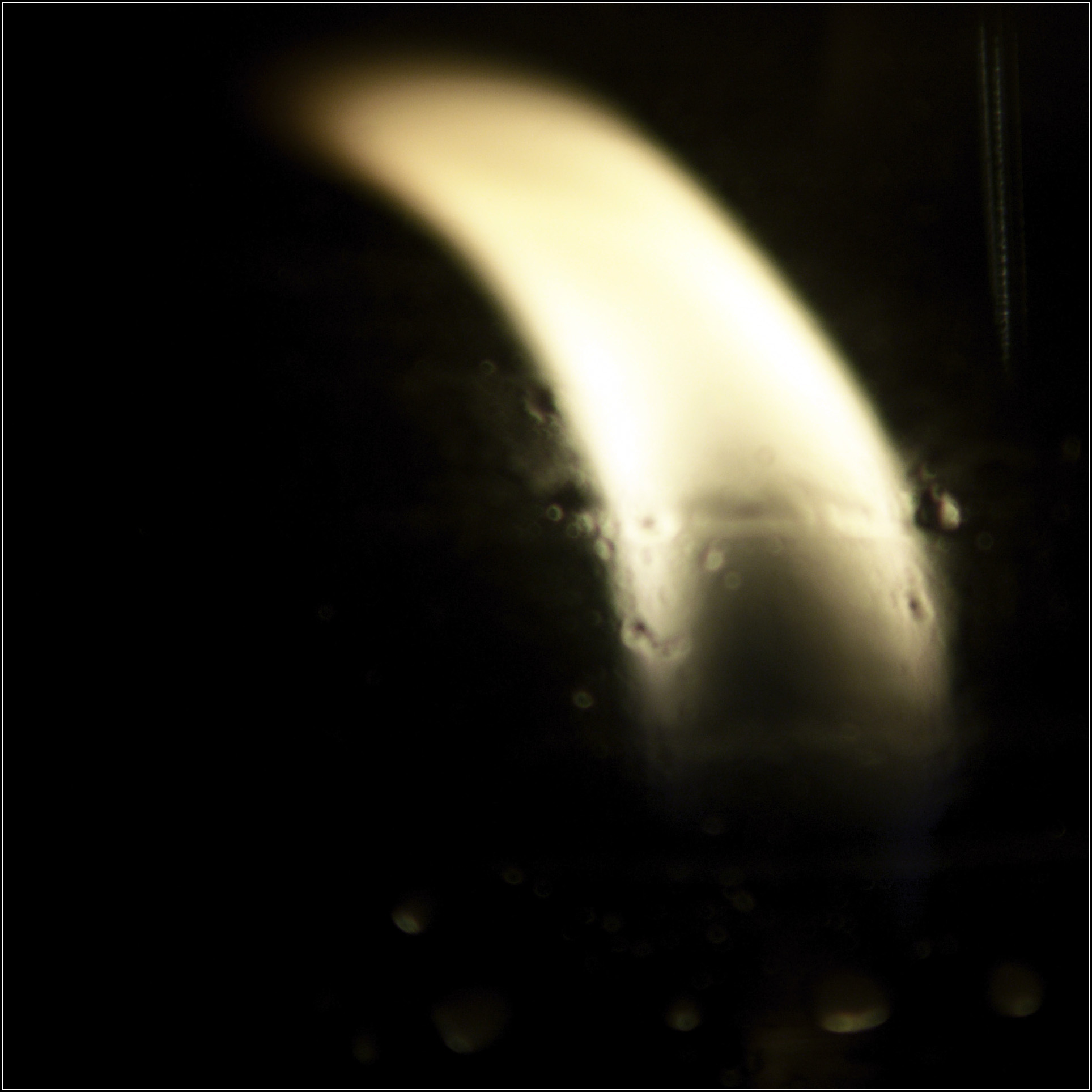 Flame