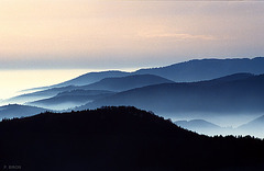 Mer de brouillard dans le Massif des Vosges