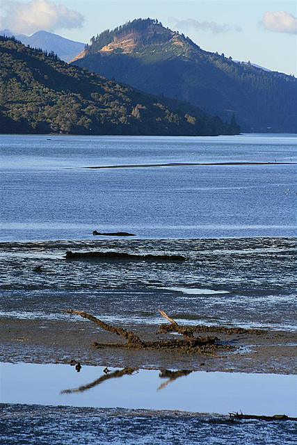 Doubtful Sound