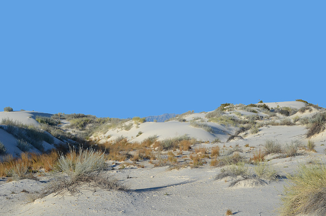 White Sands National Monument