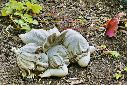A Garden Fairy – Davie Street, Vancouver, British Columbia