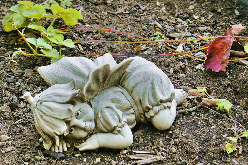 A Garden Fairy – Davie Street, Vancouver, British Columbia