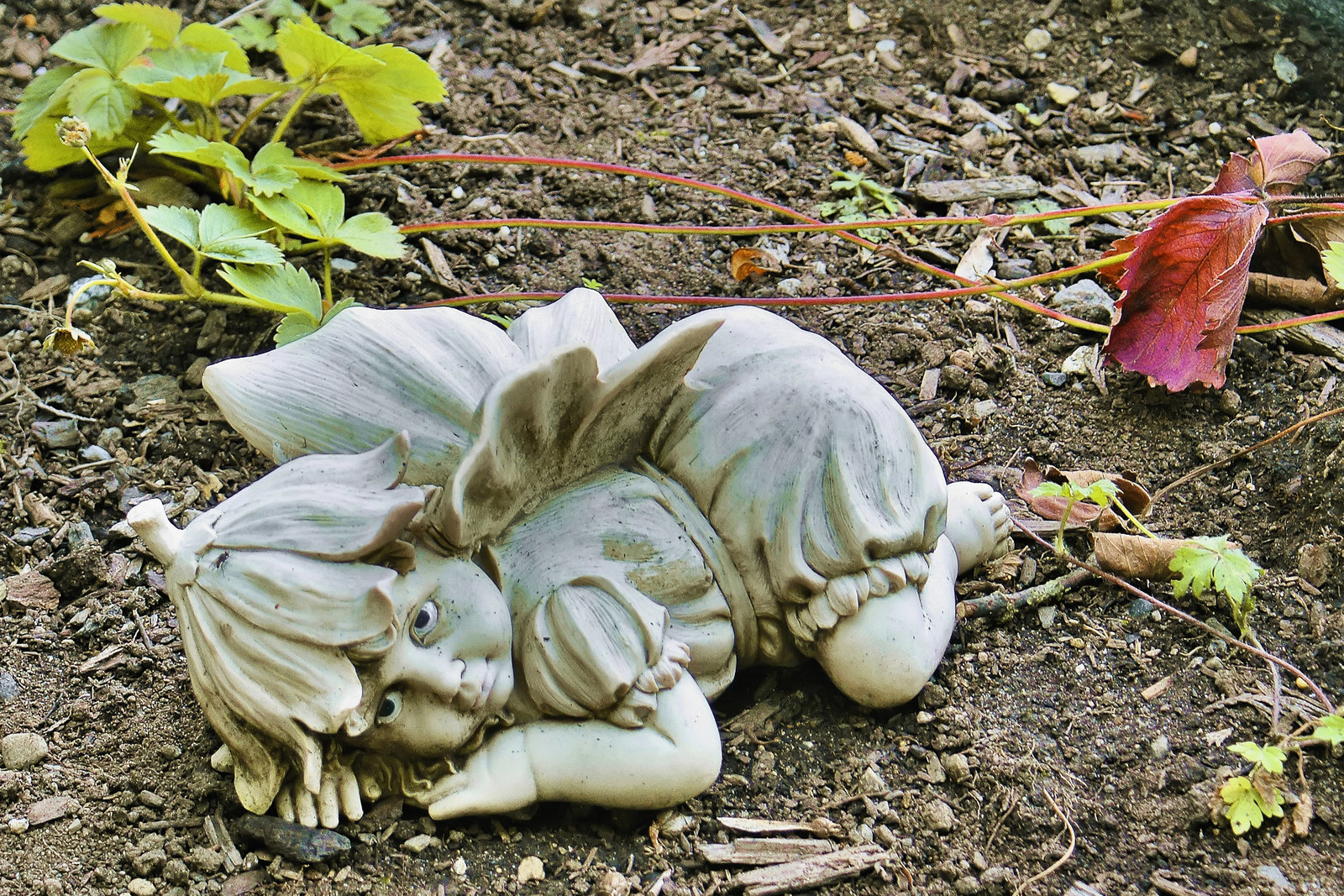 A Garden Fairy – Davie Street, Vancouver, British Columbia