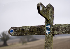 Tolpuddle fingerpost