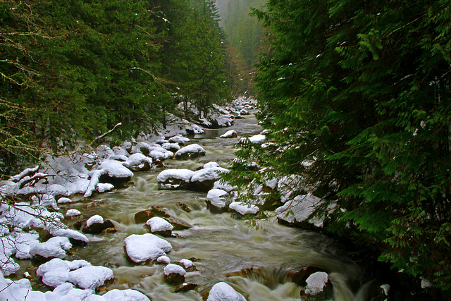 North Fork of the Nooksack River