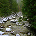 North Fork of the Nooksack River