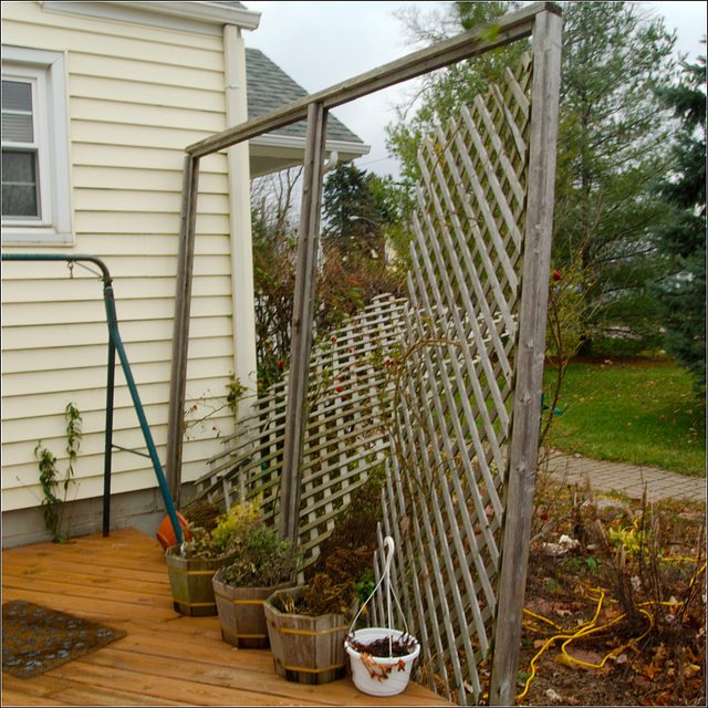 The State of the Trellis