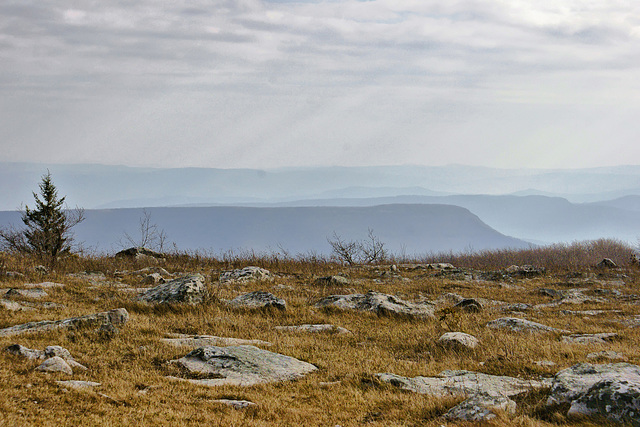 At the Edge of the Plateau – Dolly Sods, West Virginia