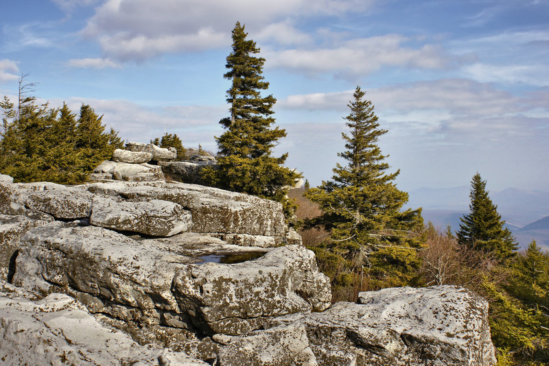 Bear Rocks #1 – Dolly Sods, West Virginia