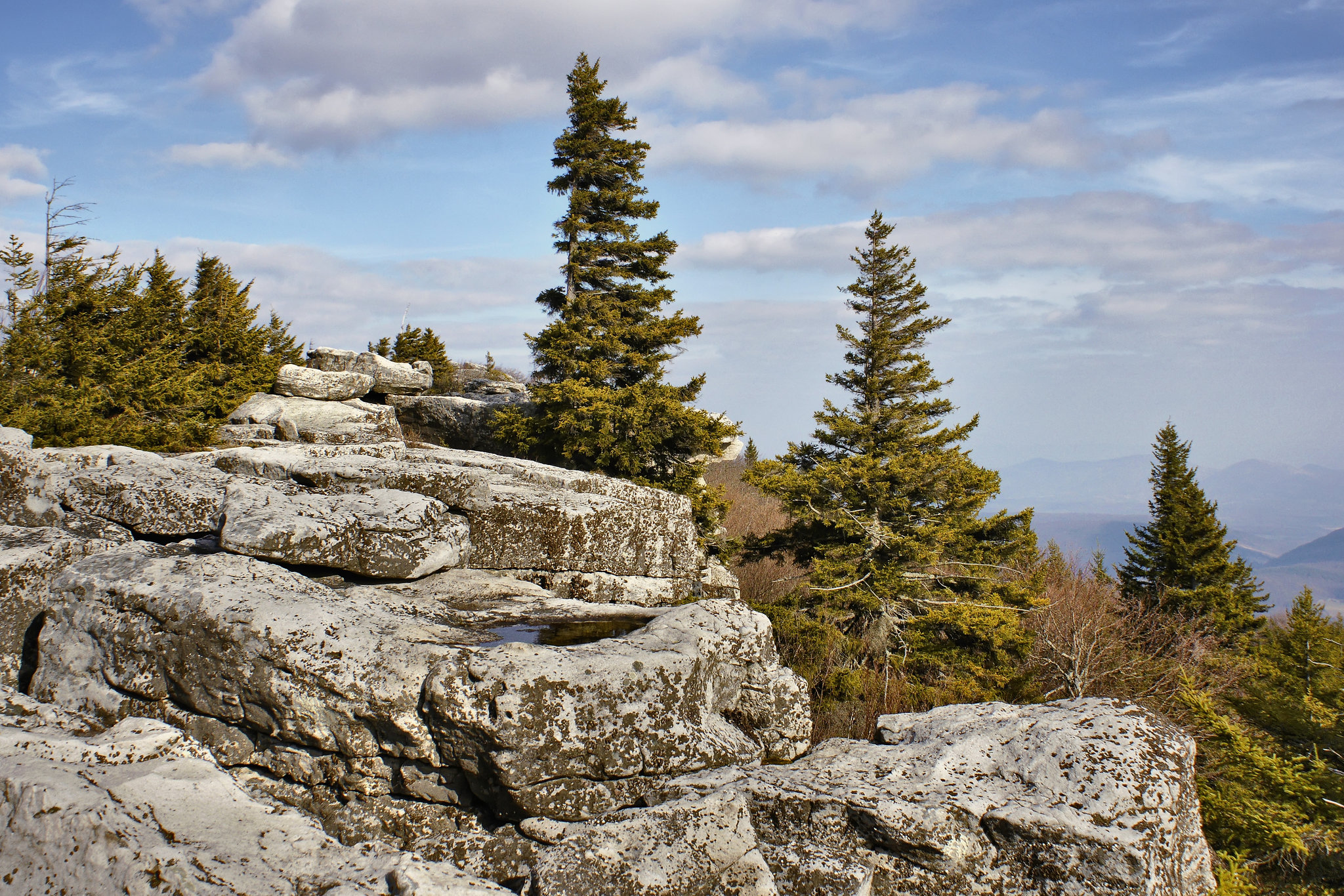 Bear Rocks #1 – Dolly Sods, West Virginia