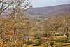 Farmstead – near Jordan Run, West Virginia