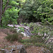 Banks of the Findhorn at Relugas