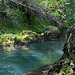 Deschutes River