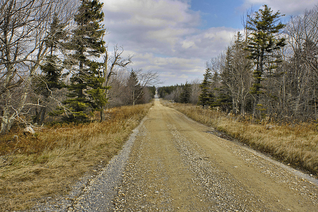 Forest Service Road 75 – Dolly Sods, West Virginia