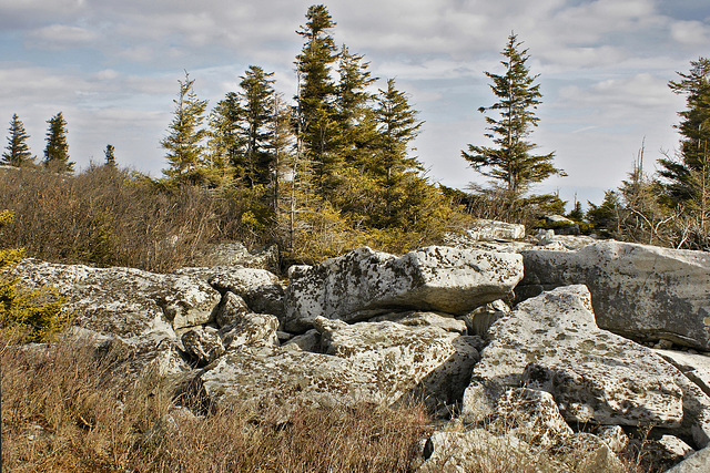 Things Are Looking Up! – Dolly Sods, West Virginia