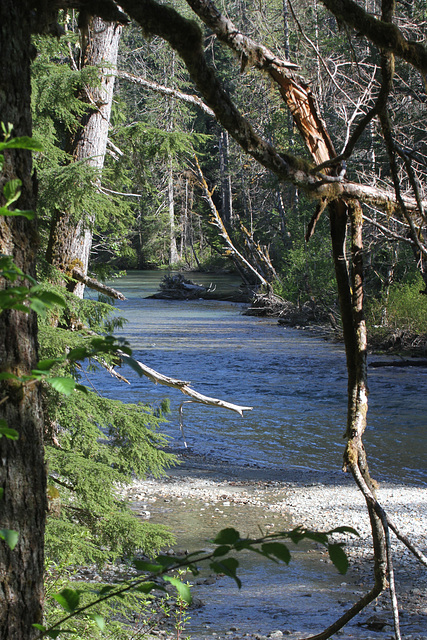 Thunder Creek