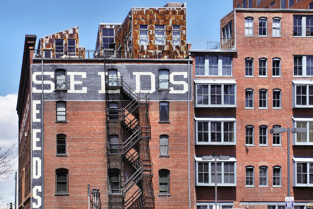 The Seedy Side of Town – 16th Street Mall, near Wynkoop Street, Denver, Colorado