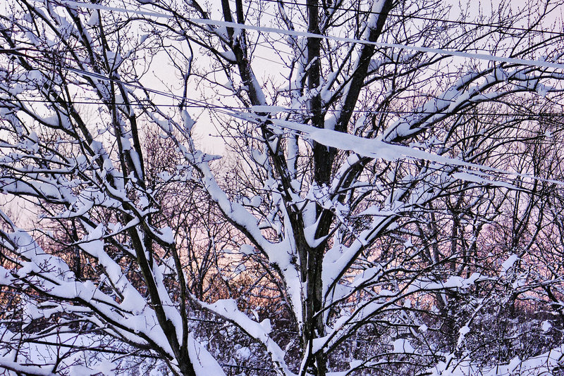After the Blizzard #2 – Greenbelt, Maryland