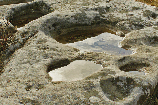 Pools in the Rock – Dolly Sods, West Virginia