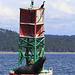 California Sea Lion