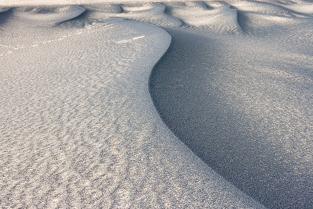 Saharan Sands