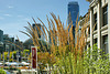 Robson Square – Vancouver, British Columbia