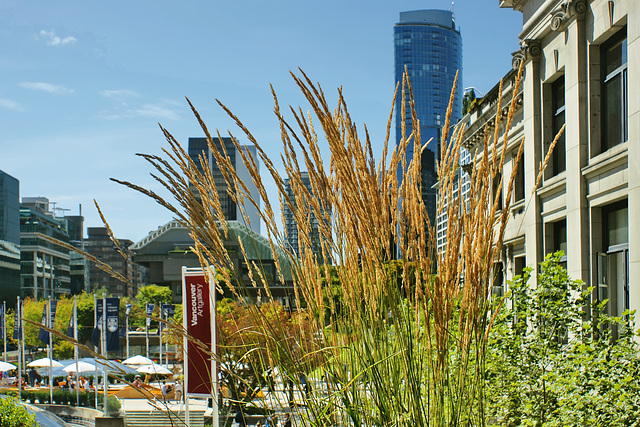 Robson Square – Vancouver, British Columbia